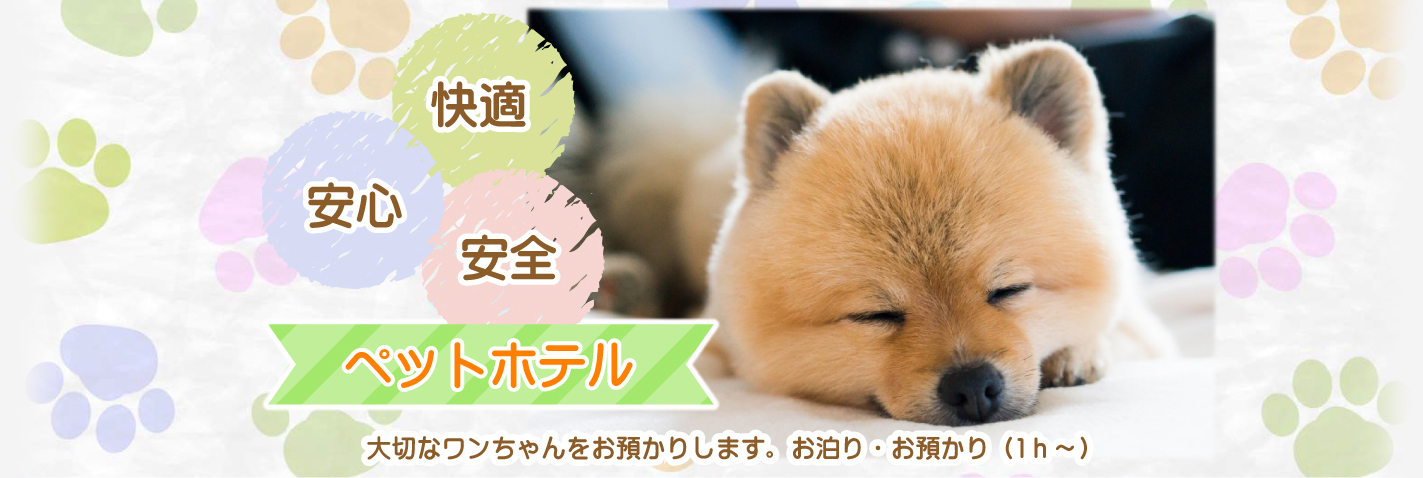 ペットホテル。大切なワンちゃんをお預かりします。お泊り・お預かり(1h~)安心、安全、快適。
