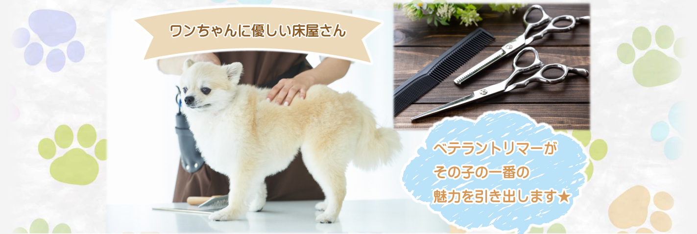 ワンちゃんに優しい床屋さん。ベテラントリマーがその子の一番の魅力を引き出します。