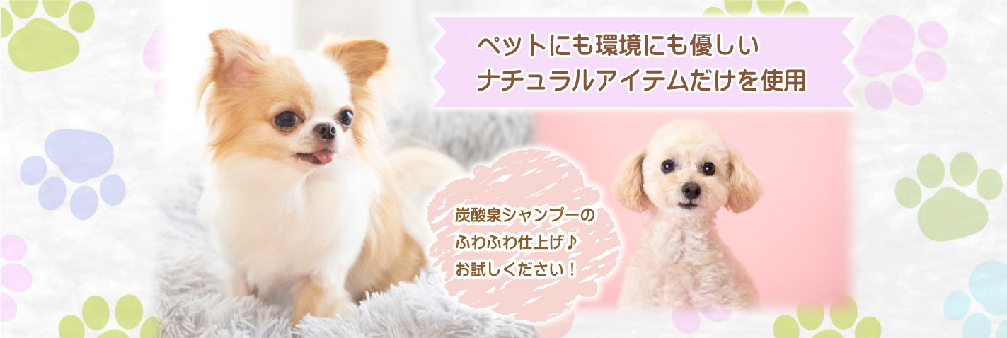 ペットにも環境にも優しいナチュラルアイテムだけを使用。炭酸泉シャンプーのふわふわ仕上げ♪お試しください!